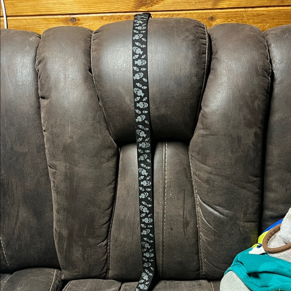 Skull Black and Gray Belt